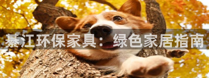 杏耀3代理