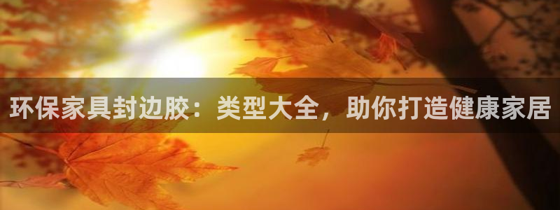 杏耀官网客服：环保家具封边胶：类型大全，助你打造健康家居