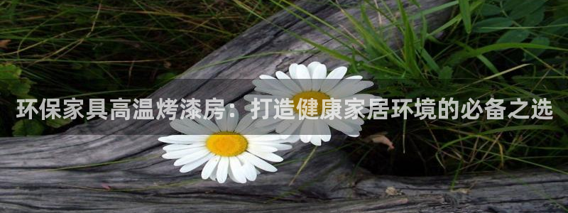 杏耀登录测速：环保家具高温烤漆房：打造健康家居环境的必备之选
