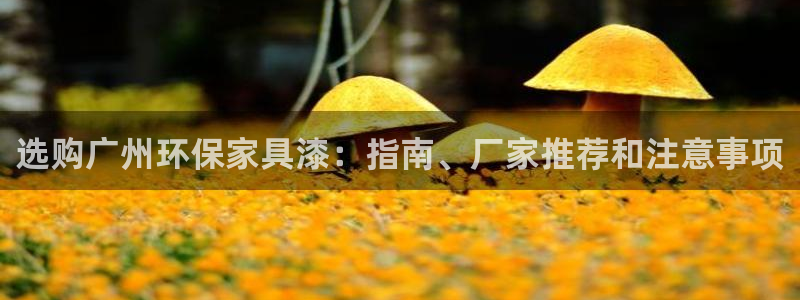 杏耀官方测速：选购广州环保家具漆：指南、厂家推荐和注意事项