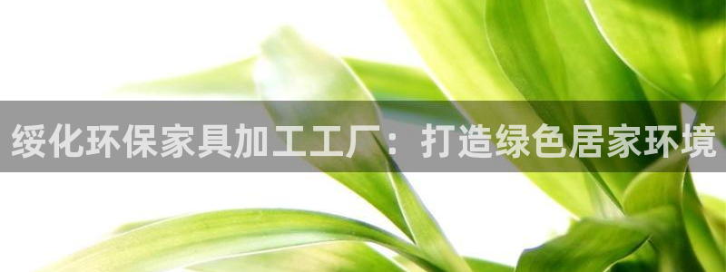 杏耀注册登录中心：绥化环保家具加工工厂：打造绿色居家环境
