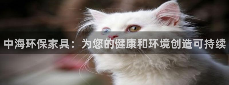 杏耀测速注册