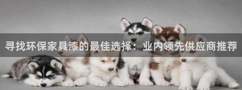 杏耀平台在线注册：寻找环保家具漆的最佳选择：业内领先供应商推