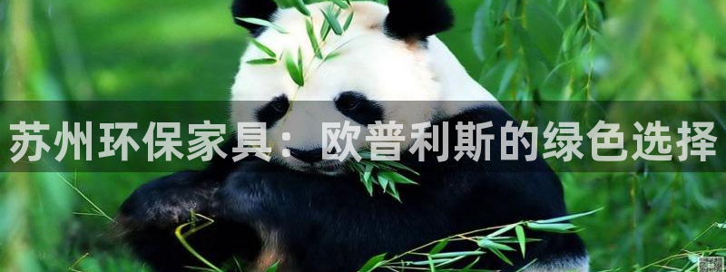 杏耀平台服务中心怎么样