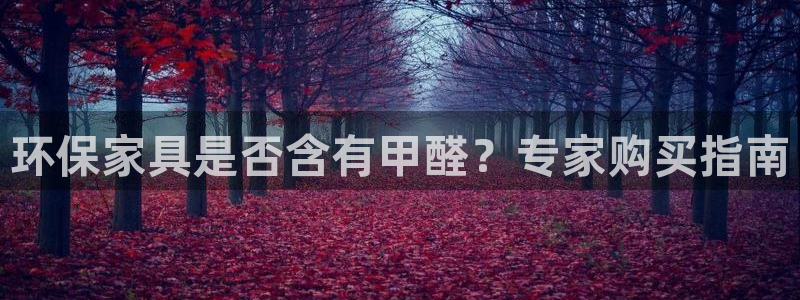 杏耀注册登录平台：环保家具是否含有甲醛？专家购买指南