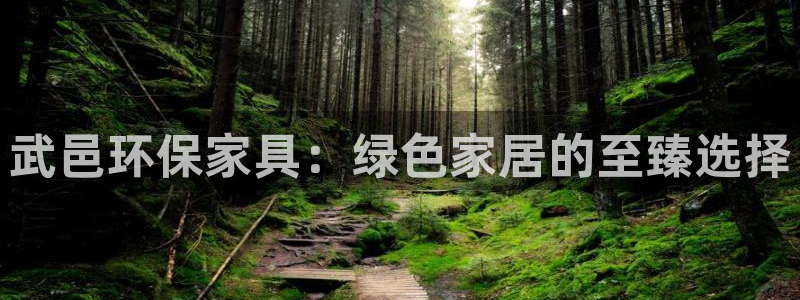 杏耀手机登录线路测速：武邑环保家具：绿色家居的至臻选择