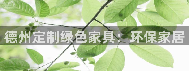 杏耀平台主管