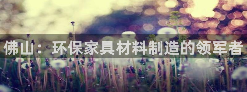 杏耀平台注册代理