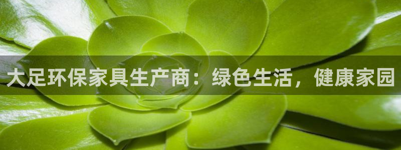 杏耀登陆线路