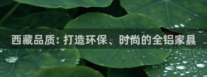 杏耀平台注册代理：西藏品质: 打造环保、时尚的全铝家具