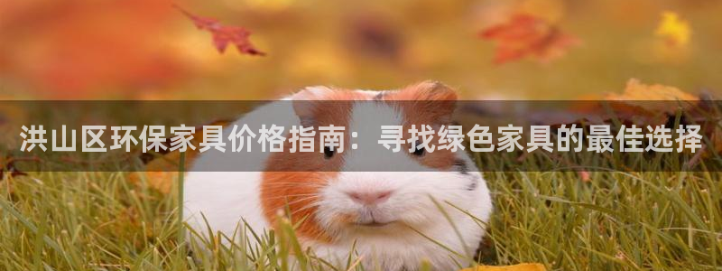 杏耀登陆电脑线路测速