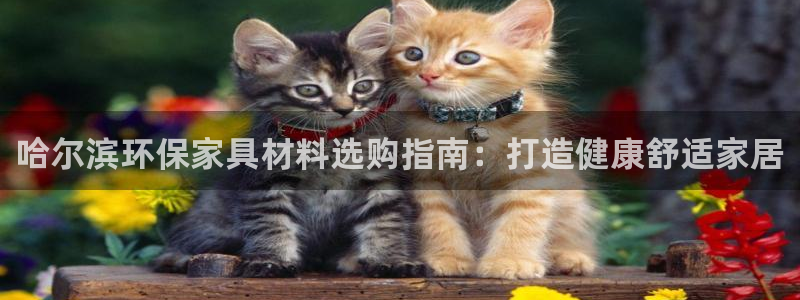 杏耀平台线路测速登录：哈尔滨环保家具材料选购指南：打造健康舒