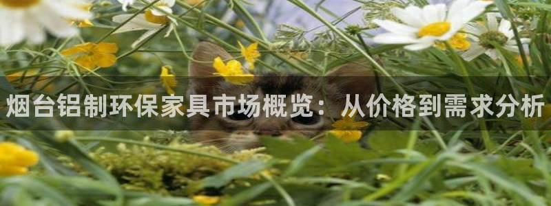 杏耀官网主管