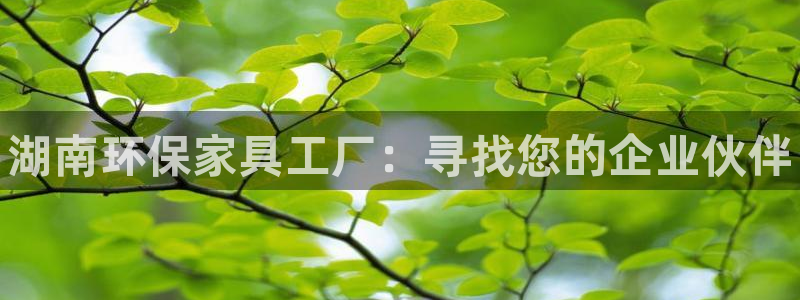 杏耀管网登录：湖南环保家具工厂：寻找您的企业伙伴