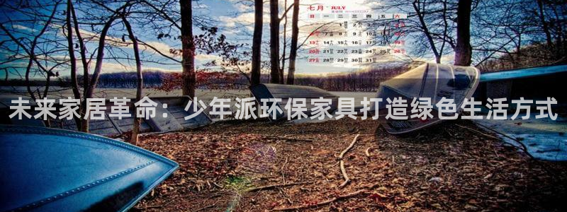 杏耀注册开户：未来家居革命：少年派环保家具打造绿色生活方式