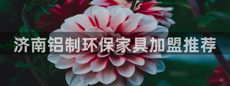 杏耀注册app：济南铝制环保家具加盟推荐