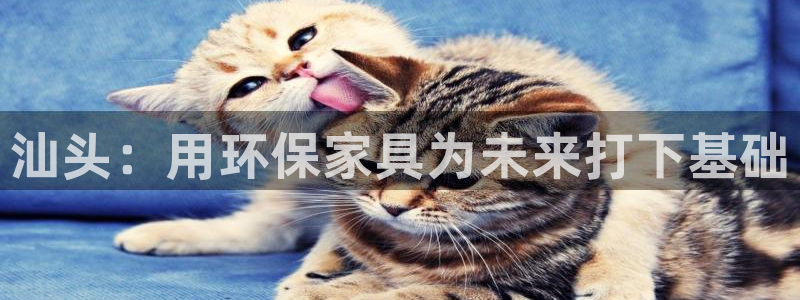 杏耀注册线路：汕头：用环保家具为未来打下基础