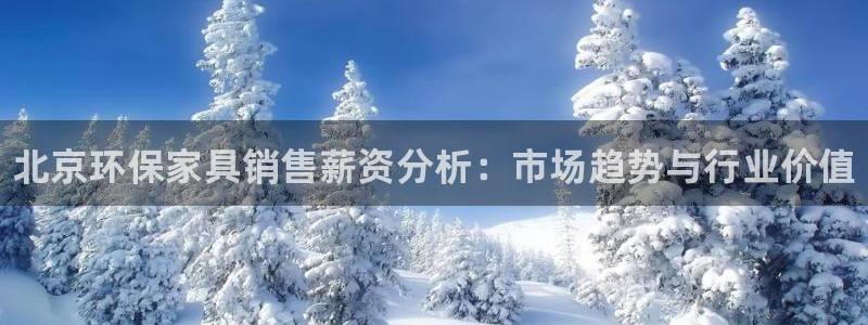 杏耀客户端登陆：北京环保家具销售薪资分析：市场趋势与行业价值