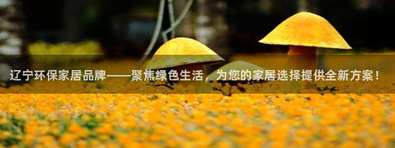 杏耀平台注册：辽宁环保家居品牌——聚焦绿色生活，为您的家居选