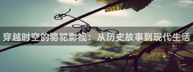天狼最新电影网：穿越时空的骆驼影视：从历史故事到现代生活