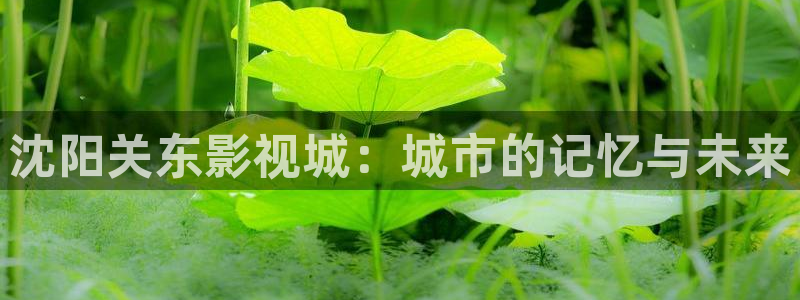 天狼影院 福利：沈阳关东影视城：城市的记忆与未来