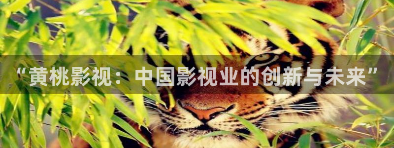 天狼影院天天：“黄桃影视：中国影视业的创新与未来”