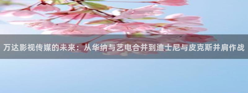 天狼影院姐姐的朋友：万达影视传媒的未来：从华纳与艺电合并到迪士尼与皮克斯并肩作战