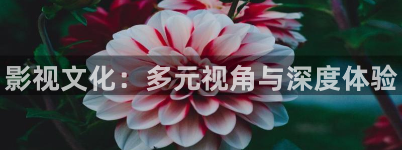 天狼影院怎么下载：影视文化：多元视角与深度体验