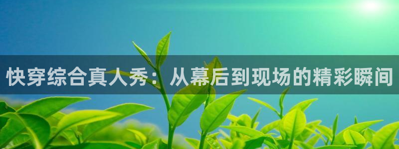 天狼影院网：快穿综合真人秀：从幕后到现场的精彩瞬间