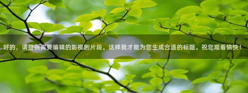 天狼电影院2025最新版：好的，请提供需要编辑的影视剧片段。这样我才能为您生成合适的标题。祝您观看愉快！