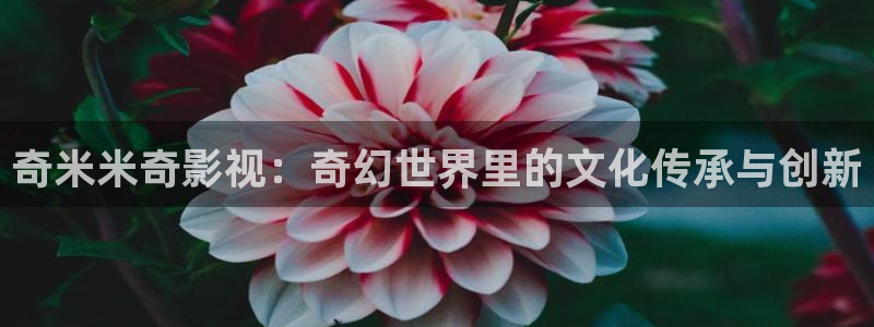 2024天狼影院：奇米米奇影视：奇幻世界里的文化传承与创新