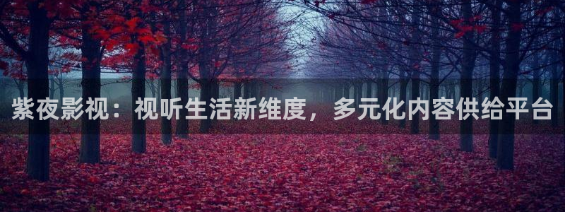 天狼星行动迅播影院免费观看：紫夜影视：视听生活新维度，多元化内容供给平台